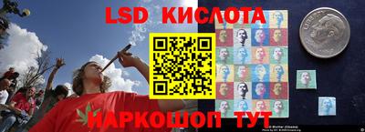 spice Абакан