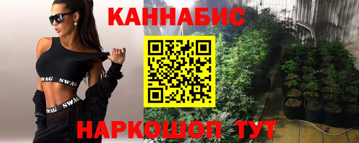 Конопля Ganja  Вход с VPN  Каннабис марихуана  Алатырь 